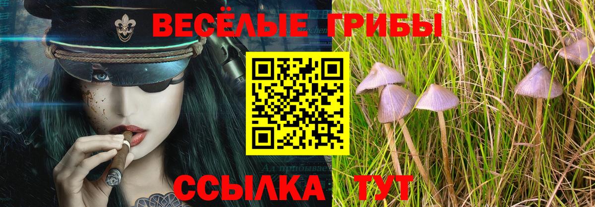Псилоцибиновые грибы MAGIC MUSHROOMS Алушта